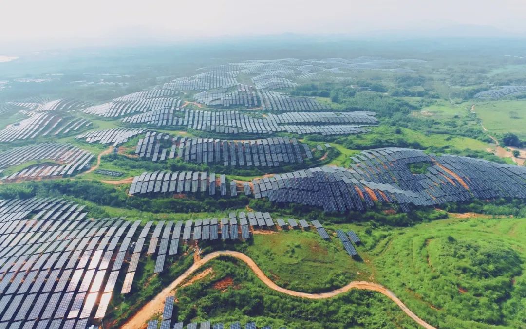 300MW！伟德源自英国始于1946广东农垦红十月农场农光互补项目满发并网